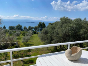 ALIDA Properties